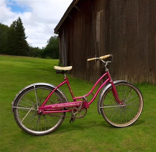 1966 Columbia Pink Girls Bicycle Pink Step Through Girls Bike Serial R595005