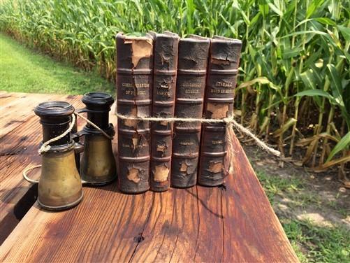 1861-65 Set of 4 Youmans Books Civil War Household Science, Heat Mode of Motion