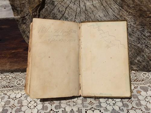1851 Gulliver's Travels Illustrated, Swift, Antique Brittish Classic Literature,