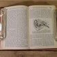 5 Decorative Books, Crafts Arts Project Wedding Library Instant Decor Vintage B,