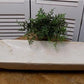 Light Wood Bowl, Medium Carved Wood Bread Bowl, Rustic Farmhouse Table Decor A23