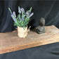 Floating Shelf, Pine 2x10 Wood Fireplace Mantel, Wall Mount Rustic Beam A22, Rustic Floating Shelf, Pine Shelf, Floating Farmhouse Shelf