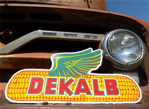 Dekalb Seed Corn Sign, Metal Porcelain Advertising Sign, Farm Seed Corn Sign