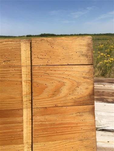 XL Vintage French Bread Board, Rectangle Bread Board, Wood Cutting Board A62