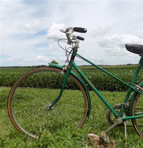 1977 Raleigh Sport Bicycle, 20-30 High Carbon Tubing, Serial #NH7071287,