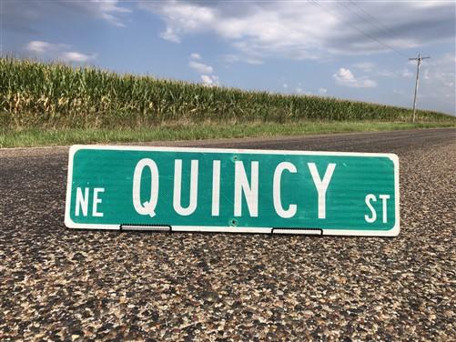 Quincy St Street Sign, Vintage Green Road Sign, 36x9 Metal Wall Sign, Garage