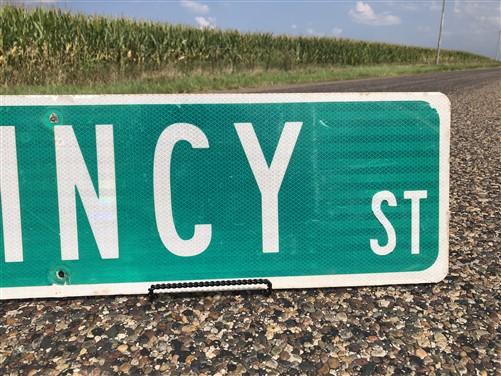 Quincy St Street Sign, Vintage Green Road Sign, 36x9 Metal Wall Sign, Garage