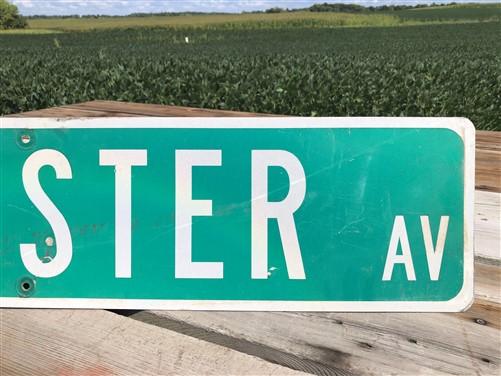 Webster Av Street Sign, Vintage Green Road Sign, 42x9 Metal Wall Sign, Garage