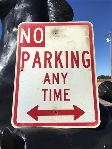 No Parking Any Time Street Sign, 24x18 Vintage Metal Road Sign, Garage Art, H