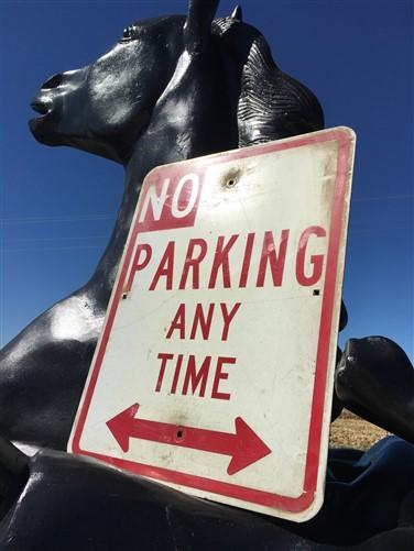 No Parking Any Time Street Sign, 24x18 Vintage Metal Road Sign, Garage Art, H