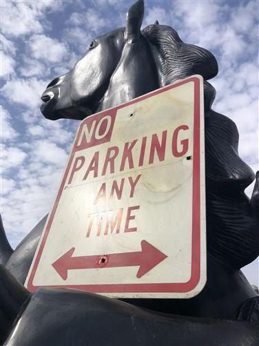 No Parking Any Time Street Sign, 24x18 Vintage Metal Road Sign, Garage Art, Q