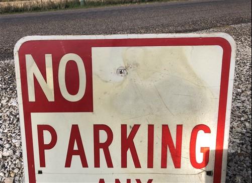 No Parking Any Time Street Sign, 24x18 Vintage Metal Road Sign, Garage Art, Q