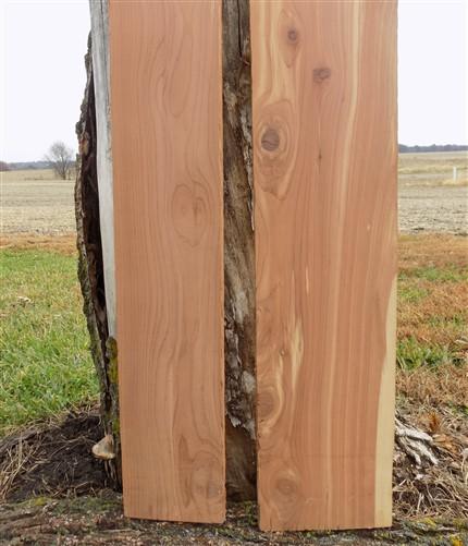 2 Raw Walnut Boards, Natural Unfinished Sawn Wood Lumber, Rustic Hardwood G,