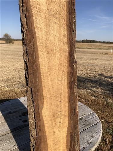 Live Edge Raw Board, Natural Unfinished Sawn Wood Lumber, Rustic Hardwood P,