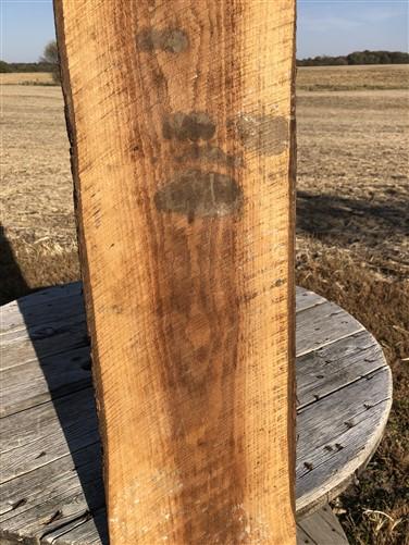 Live Edge Raw Board, Natural Unfinished Sawn Wood Lumber, Rustic Hardwood P,