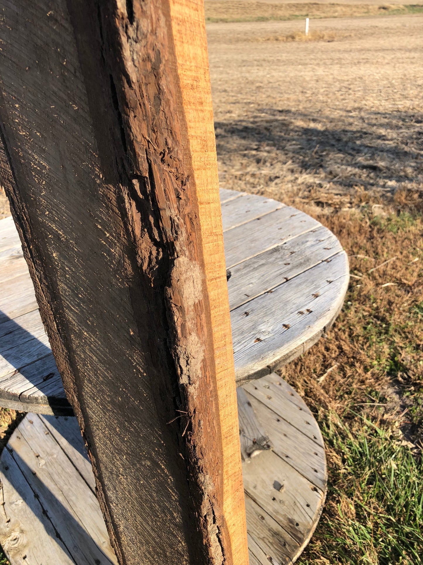 Live Edge Raw Board, Natural Unfinished Sawn Wood Lumber, Rustic Hardwood M