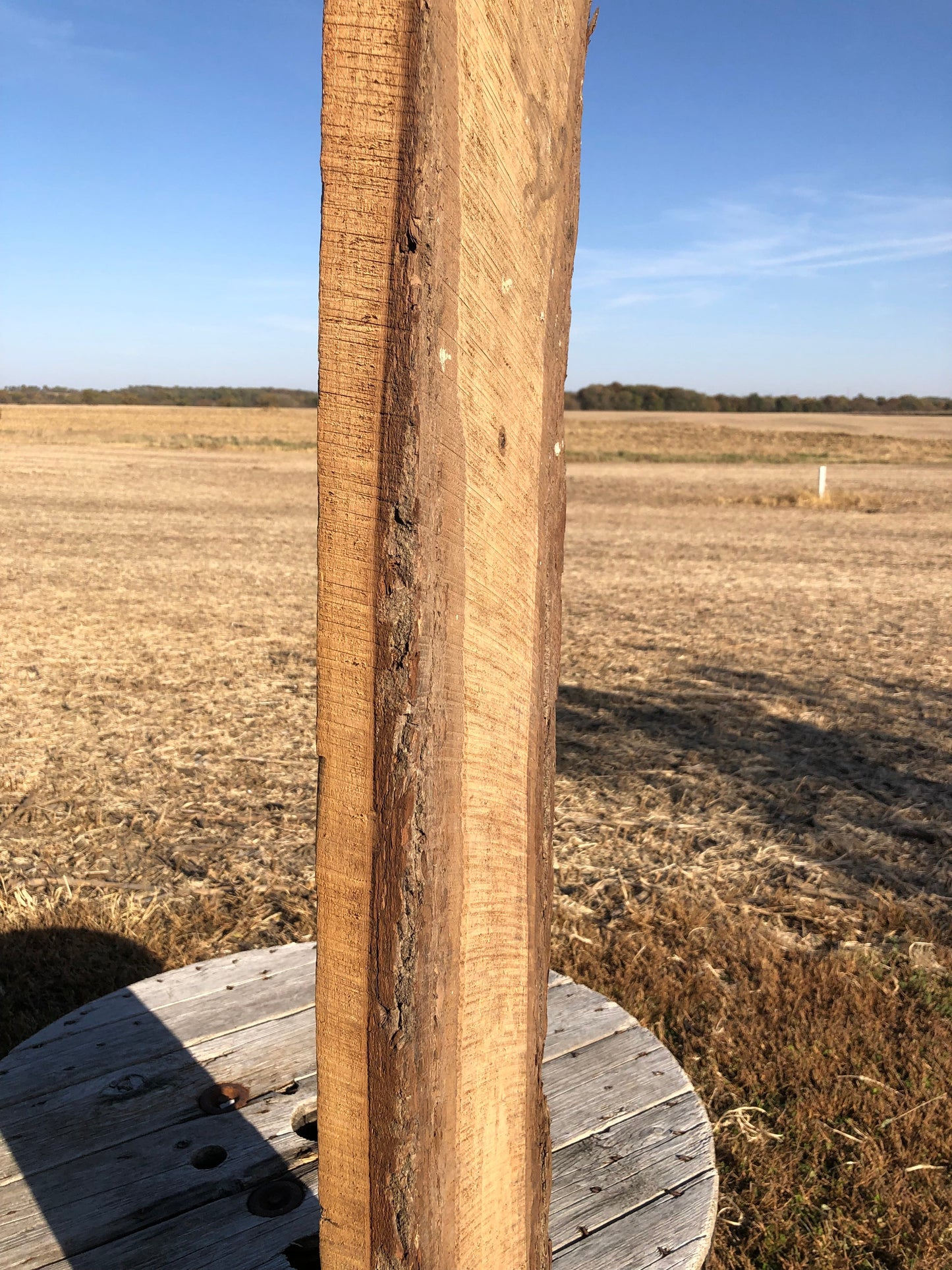 Live Edge Raw Board, Natural Unfinished Sawn Wood Lumber, Rustic Hardwood M