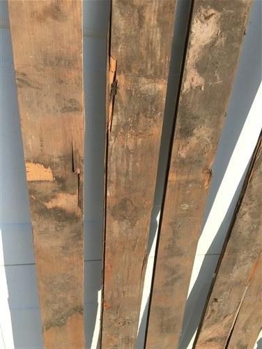 10 Reclaimed Wainscoting Bead Board Pieces, Architectural Salvage Vintage A43,