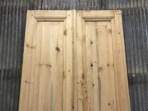 French Double Doors (32x96.5) European Styled Doors, Raised Panel Doors N55
