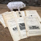 1928 Hog Swine Pig Brochures AG Extension, Beef Cattle, Agricultural Reference,