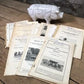 1928 Hog Swine Pig Brochures AG Extension, Beef Cattle, Agricultural Reference,