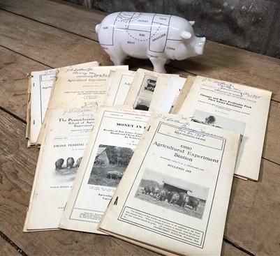 1928 Hog Swine Pig Brochures AG Extension, Beef Cattle, Agricultural Reference,