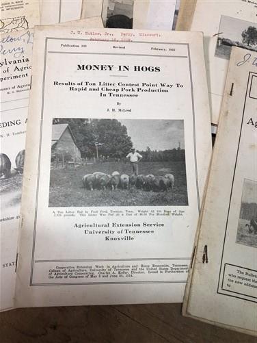 1928 Hog Swine Pig Brochures AG Extension, Beef Cattle, Agricultural Reference,