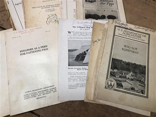 1928 Hog Swine Pig Brochures AG Extension, Beef Cattle, Agricultural Reference,