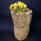 Rustic Wood Planter, Wood Stumps, Round Wooden Flower Pot, Natural Wood Decor, E