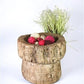 Rustic Wood Planter, Wood Stumps, Round Wooden Flower Pot, Natural Wood Decor, F