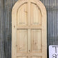 Arched French Single Door (24x80.5) Panel Door, European Styled Door T3