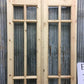 French Double Door (36x80.5) 6 Pane Glass European Styled Door EM28