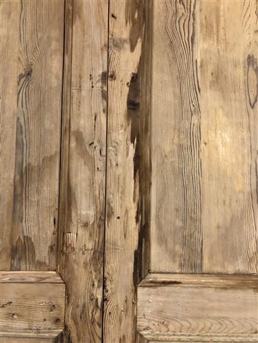 Antique Encased French Double Door (41.5x91.5) European Panel Door With Jamb S32