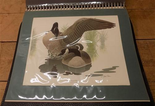 Richard Sloan Wildlife Bird Art Prints, 10 Lithograph Plates Matted 4 Framing G,