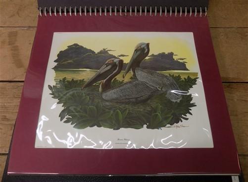 Richard Sloan Wildlife Bird Art Prints, 10 Lithograph Plates Matted 4 Framing G,