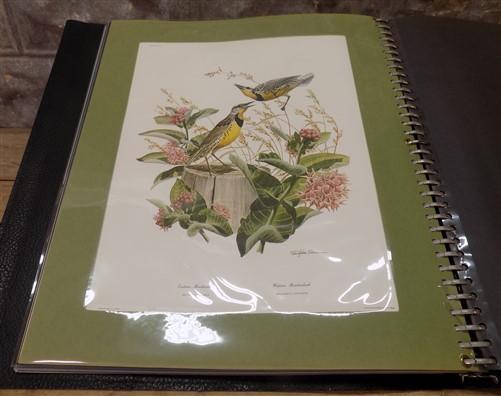 Richard Sloan Wildlife Bird Art Prints, 10 Lithograph Plates Matted 4 Framing G,