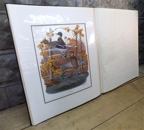 Richard Sloan Original Lithograph Folio, 25 Matted North American Bird Plates A,