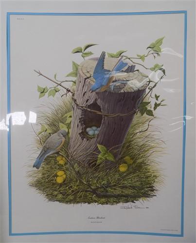 Richard Sloan Original Lithograph Folio, 25 Matted North American Bird Plates A,