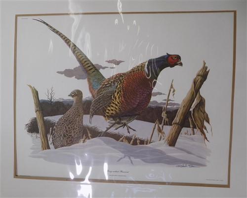 Richard Sloan Original Lithograph Folio, 25 Matted North American Bird Plates A,