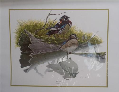 Richard Sloan Original Lithograph Folio, 25 Matted North American Bird Plates A,