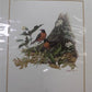 Richard Sloan Original Lithograph Folio, 25 Matted North American Bird Plates A,