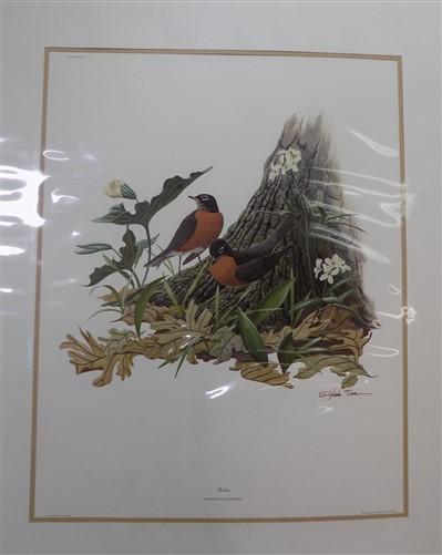 Richard Sloan Original Lithograph Folio, 25 Matted North American Bird Plates A,