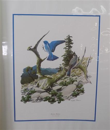 Richard Sloan Original Lithograph Folio, 25 Matted North American Bird Plates A,