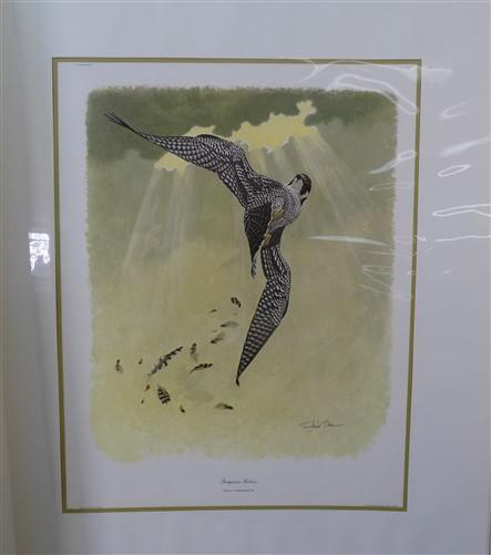 Richard Sloan Original Lithograph Folio, 25 Matted North American Bird Plates A,