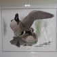 Richard Sloan Original Lithograph Folio, 25 Matted North American Bird Plates A,