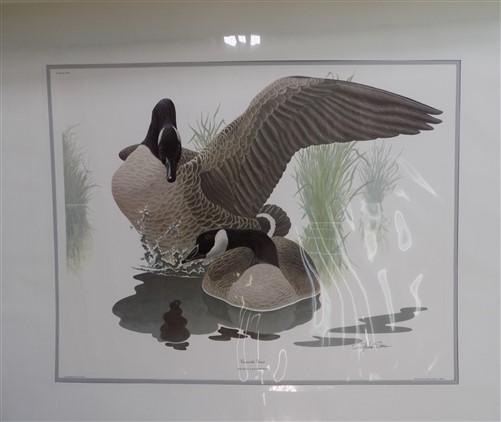 Richard Sloan Original Lithograph Folio, 25 Matted North American Bird Plates A,