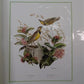 Richard Sloan Original Lithograph Folio, 25 Matted North American Bird Plates A,