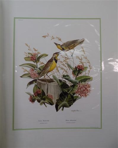 Richard Sloan Original Lithograph Folio, 25 Matted North American Bird Plates A,