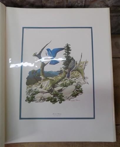 Richard Sloan Original Lithograph Folio, 23 Matted North American Bird Plates B,