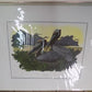 Richard Sloan Original Lithograph Folio, 41 Matted North American Bird Plates C,